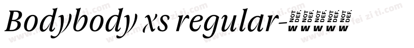 Bodybody xs regular字体转换